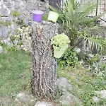 Bakita * Rijeka
