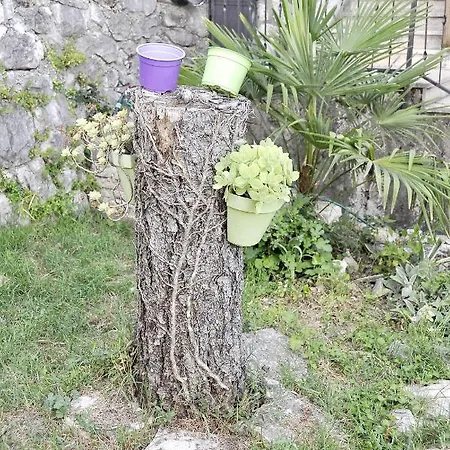 Bakita * Rijeka
